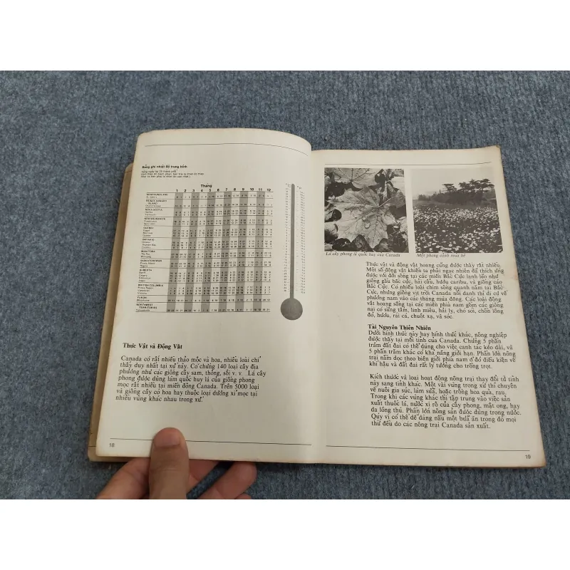 VÀI NÉT GIỚI THIỆU VỀ NƯỚC CANADA 689584