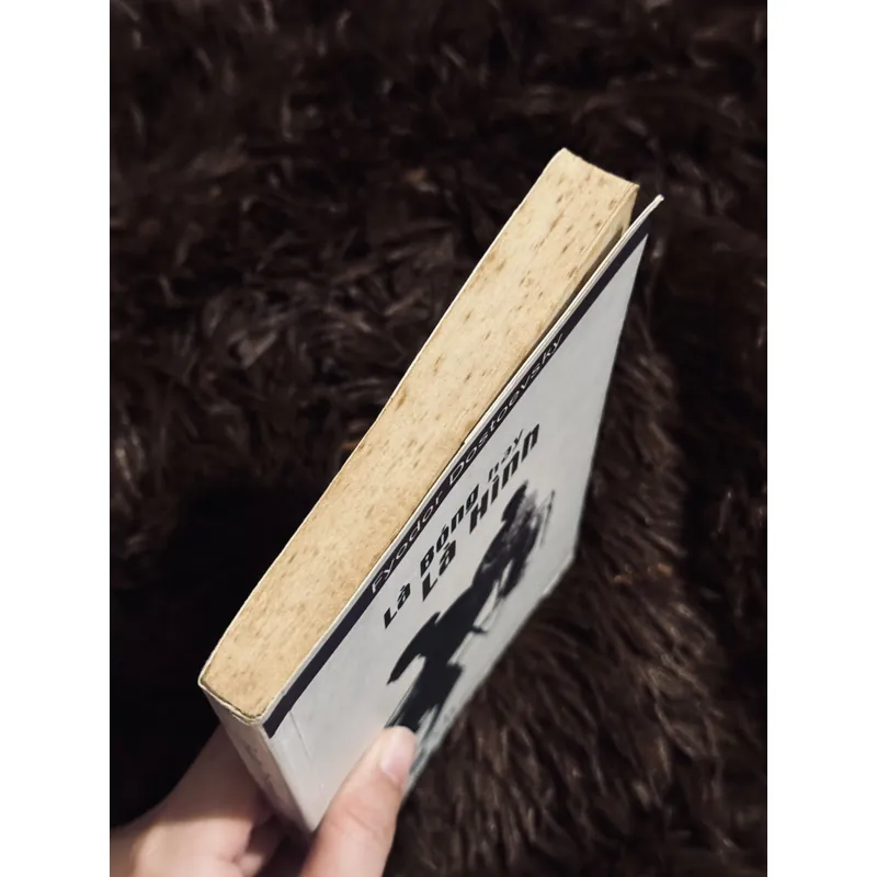 Là bóng hay là hình 738158