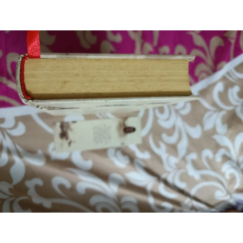 Gặp lại chốn hồng trần sâu nhất - Bạch Lạc Mai ( bìa cứng ) 991216