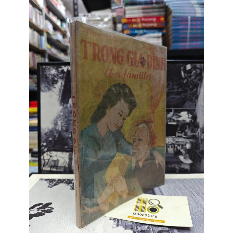 TRONG GIA ĐÌNH - HECTOR MALOT - HUY THƯỞNG DỊCH 149620