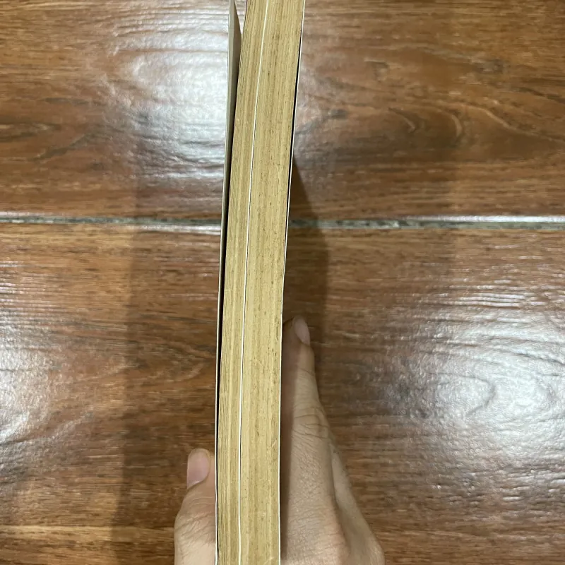 Nghệ thuật sân khấu hát bội - Lê Văn Chiêu (6) 933291