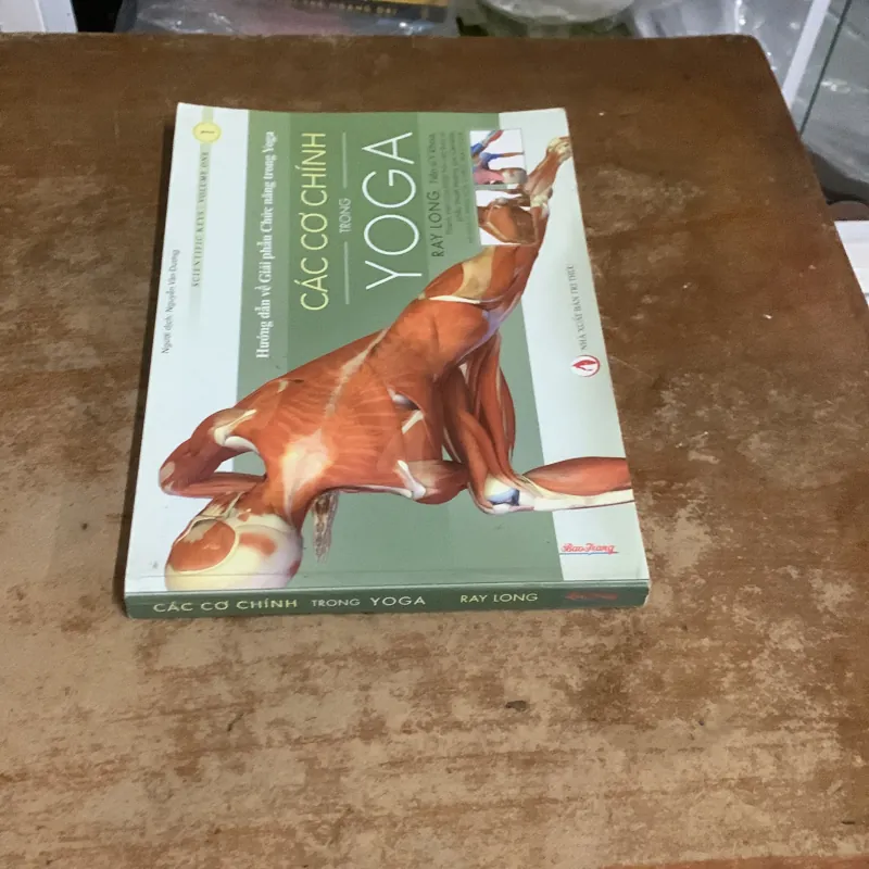 CÁC CƠ CHÍNH TRONG YOGA - RAY LONG  935200