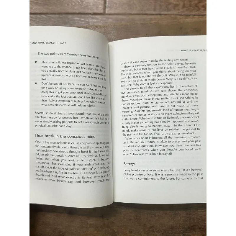 I Can Mend Your Broken Heart - Paul McKenna & Hugh Willbourn 734644