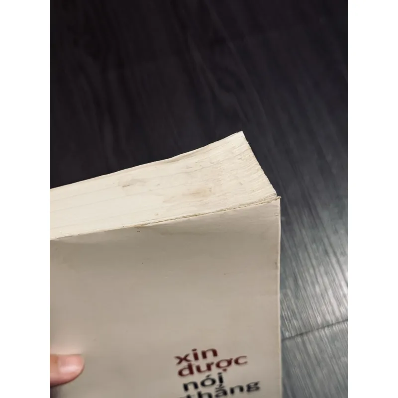 Xin được nói thẳng - Hoàng Tuỵ 598837
