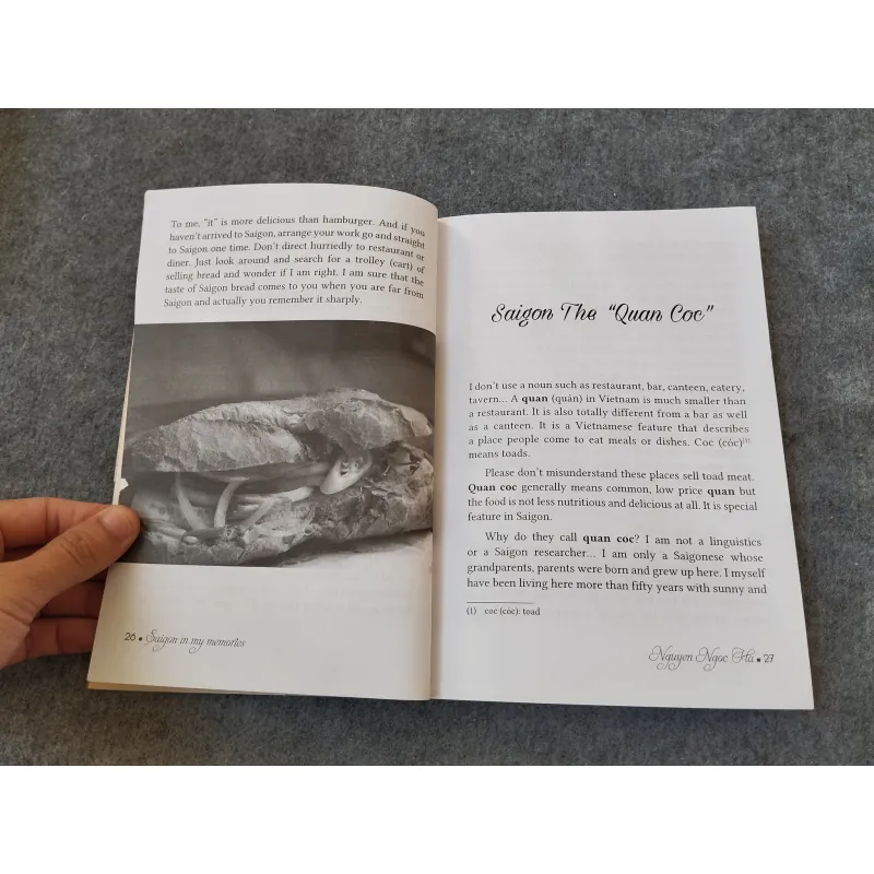 SAIGON IN MY MEMORIES 719995