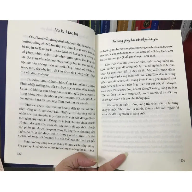 Và Khi Lạc Lối - Từ trong giông bão vẫn thấy bình yên 706377