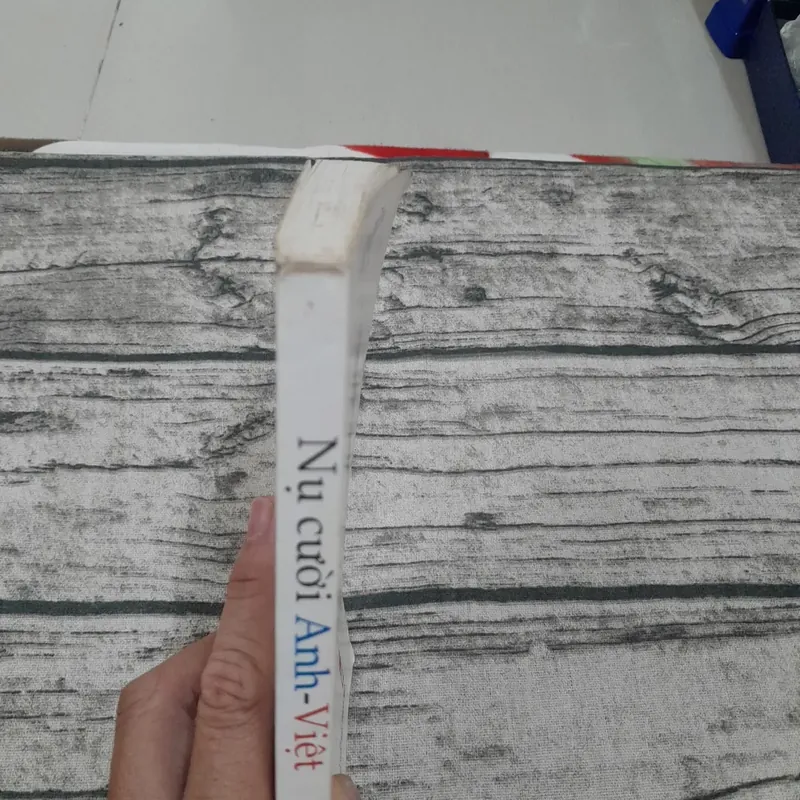 Truyện song ngữ - Nụ Cười Anh Việt. B soạn và dịch Hương Thủy Anh đào 714805