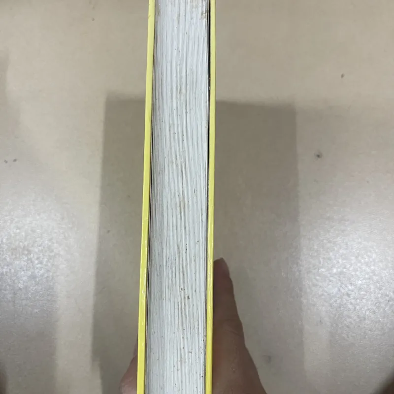 Tiếng Chim Hót Trong Bụi Mận Gai (c43) 722307