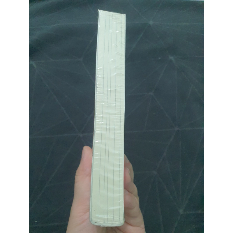 "Ngôi nhà của người cá say ngủ" (seal, có mộc) - Higashino Keigo 472190