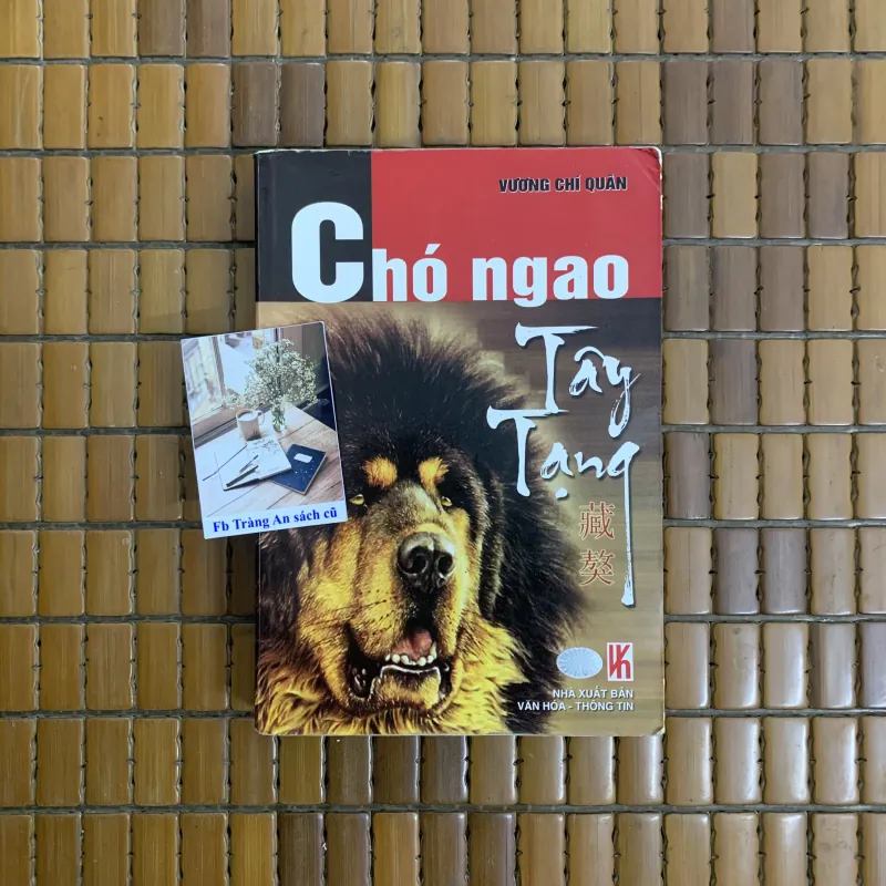 Vương Chí Quân - Chó ngao Tây Tạng  787828