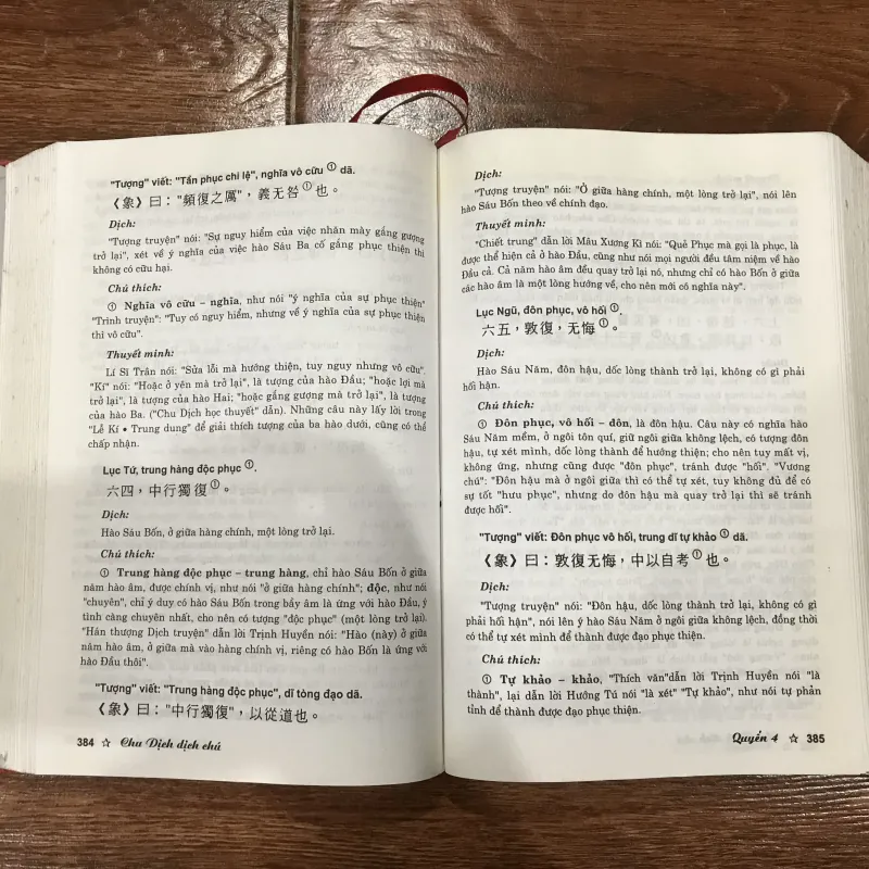 Chu Dịch Dịch Chú - Hoàng Thọ Kì - Trương Thiện Văn  (10) 993106