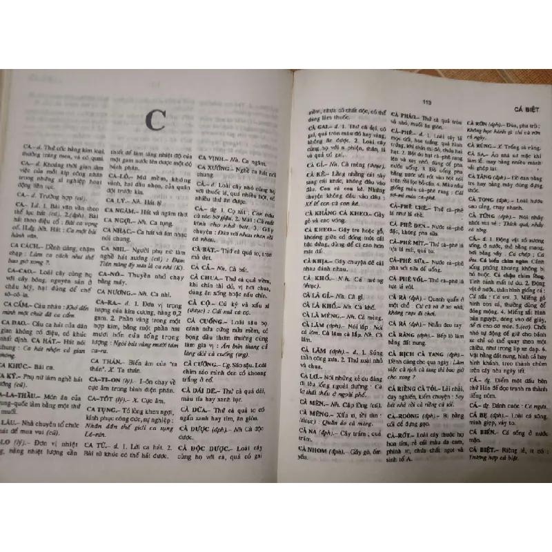 TỪ ĐIỂN TIẾNG VIỆT - 1994 - 911 trang - Bìa cứng - Kt 16 x 24 - trang cuối bị thủng 1 lỗ nhỏ - TỪ ĐIỂN BÁCH KHOA - An Nhiên Thư Quán - ANTQ3110-43 616969