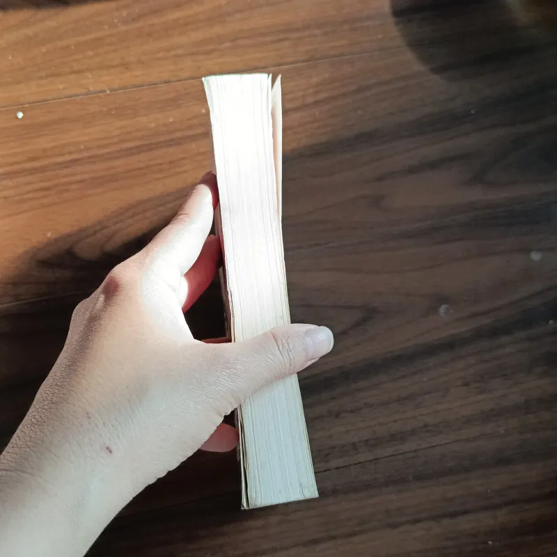 Nếu còn có ngày mai -sydney sheldon 760332