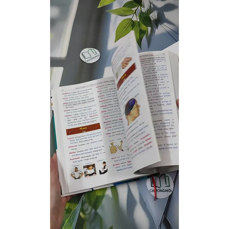 [MIỄN PHÍ BỌC SÁCH] Pahal the START - Từ Vựng Tiếng Anh Theo Chủ Đề - Vikrant Rohin 990369