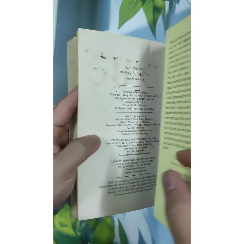 Con Chó Nhỏ Mang Giỏ Hoa Hồng - Nguyễn Nhật Ánh 798468