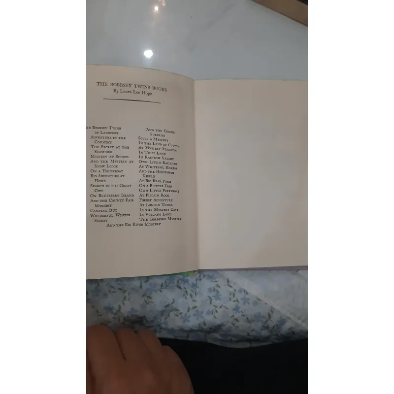 The bobbsey twins and the big rivers mystery 930936