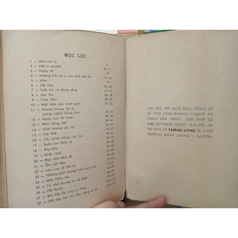 GIÓ BẤC TRẺ NHỎ ĐÓA HỒNG VÀ DẾ - Hoài Khanh 697839
