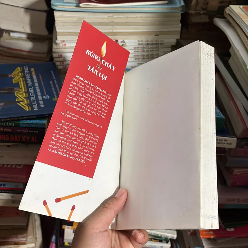 II Sách Kỹ Năng: Bùng Cháy Hay Tàn Lụi - MICHAEL LEE STALLARD - 2008 779231