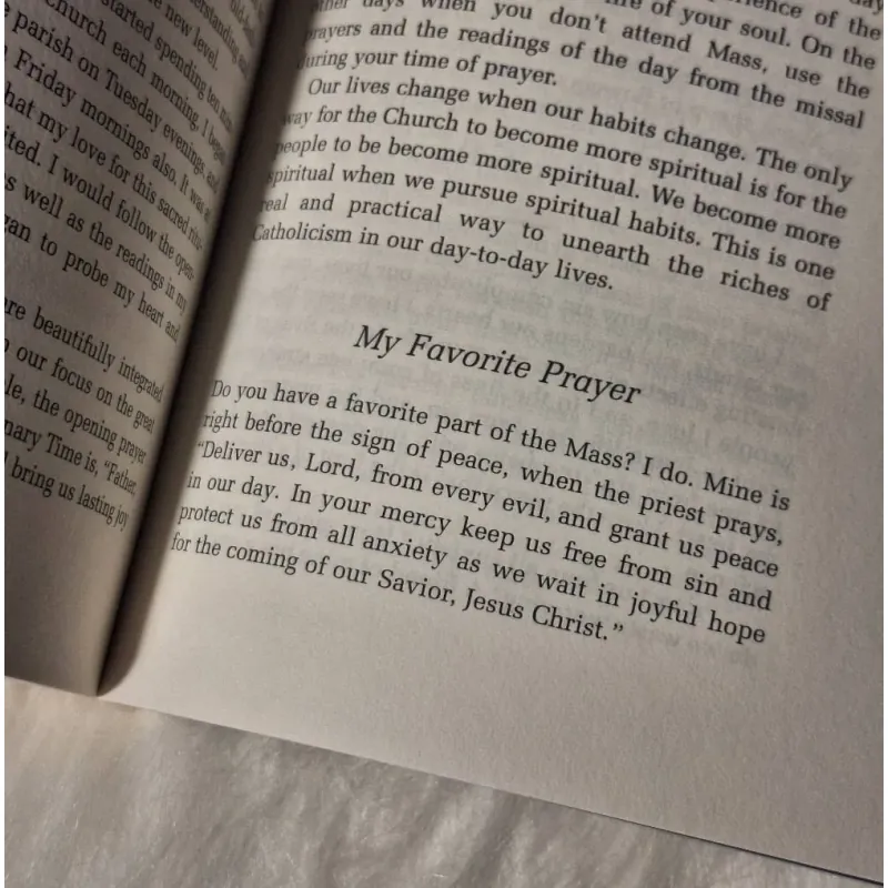 Rediscover Catholicism: A Spiritual Guide to Living with Passion and Purpose 783264