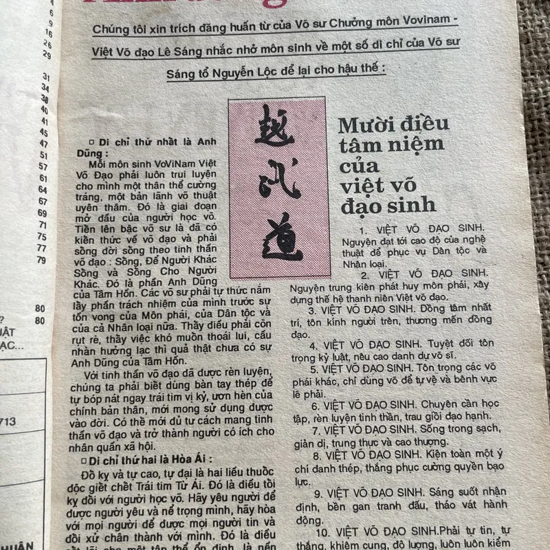 Võ thuật- việt Võ đạo- VOVINAM  688883