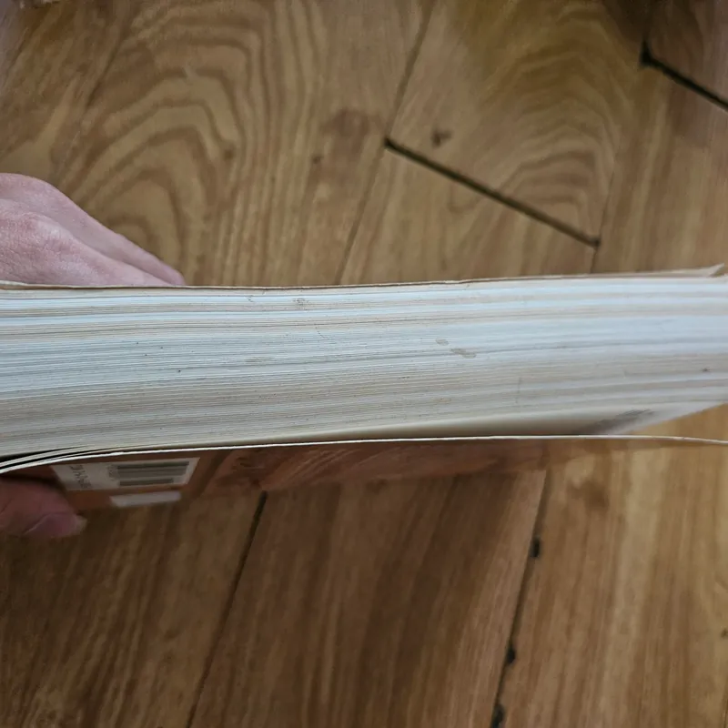 The Firebrand
 739481