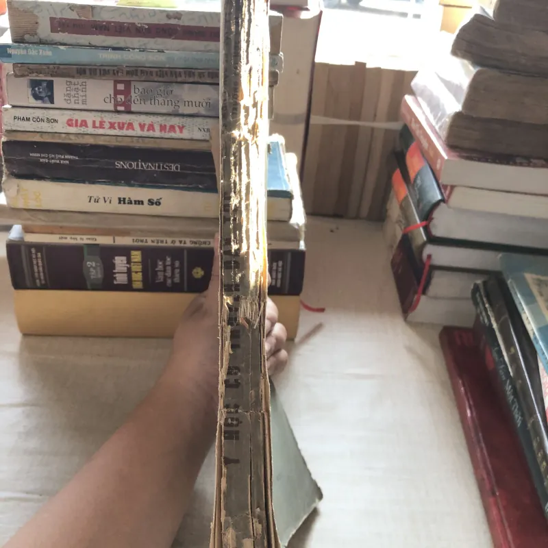 Y học cổ truyền dân tộc tập II 992430