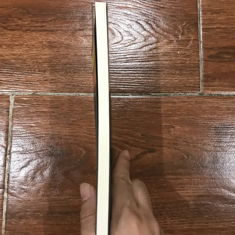 Chính trị - nghề nghiệp và sứ mệnh - Max Weber (6) 973498