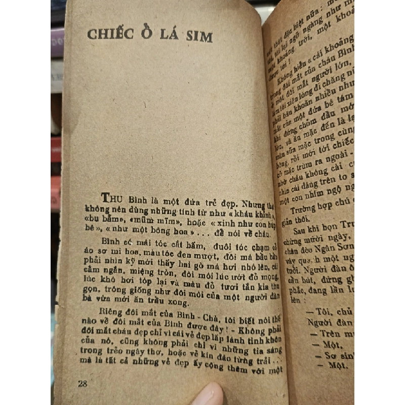 Hạt may mắn - Triệu Bôn 452823