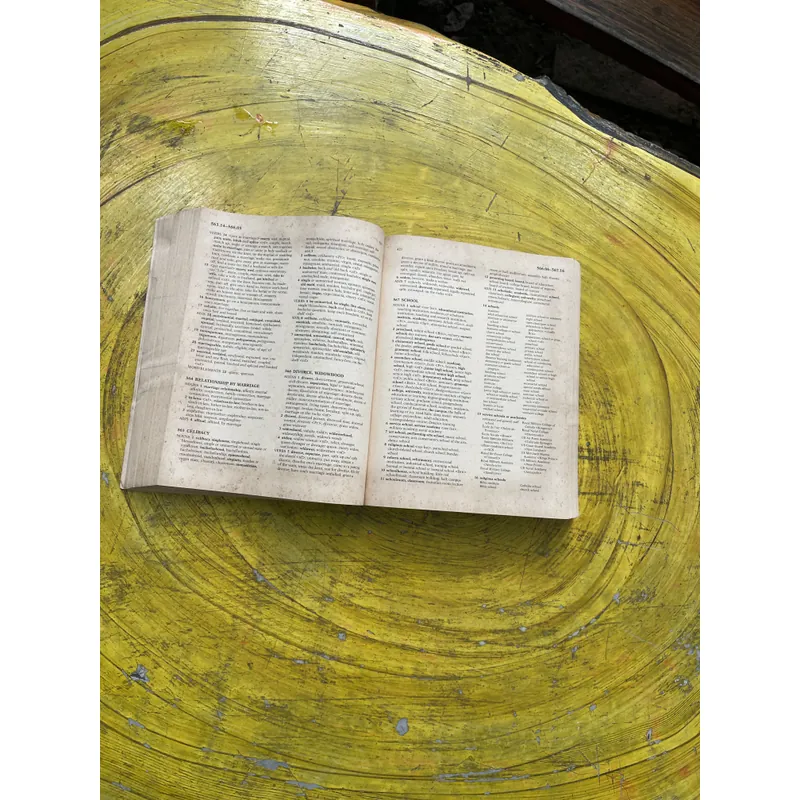 ROGET’S THESAURUS 6 SIXTH EDITION- EDITED BY BARBARA ANN KIPFER, Ph.D. 603308