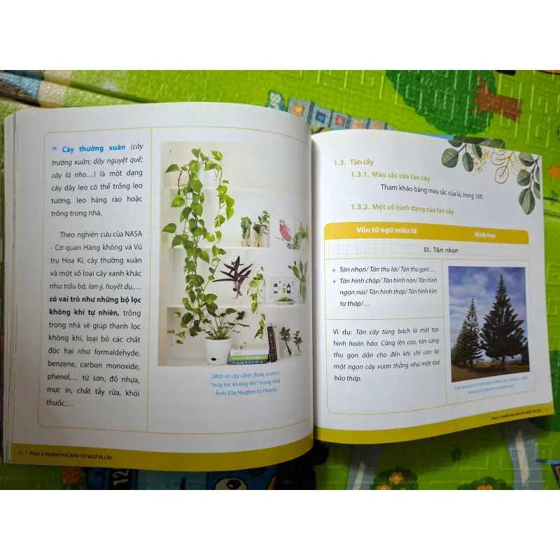 Khám phá thế giới thực vật & Chinh phục văn miêu tả cây cối (bộ 2 tập) 782448