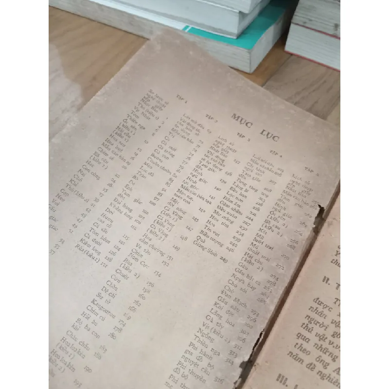 Origami Nghệ thuật xếp giấy Nhật Bản 706785