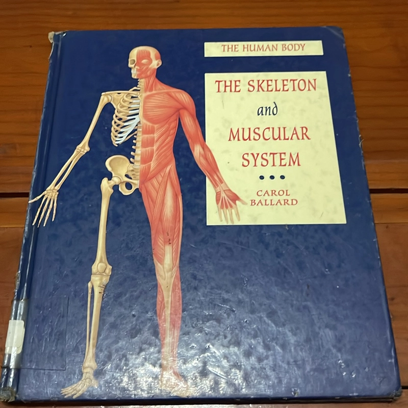 PICTURE BOOK The skeleton and muscular system 536341