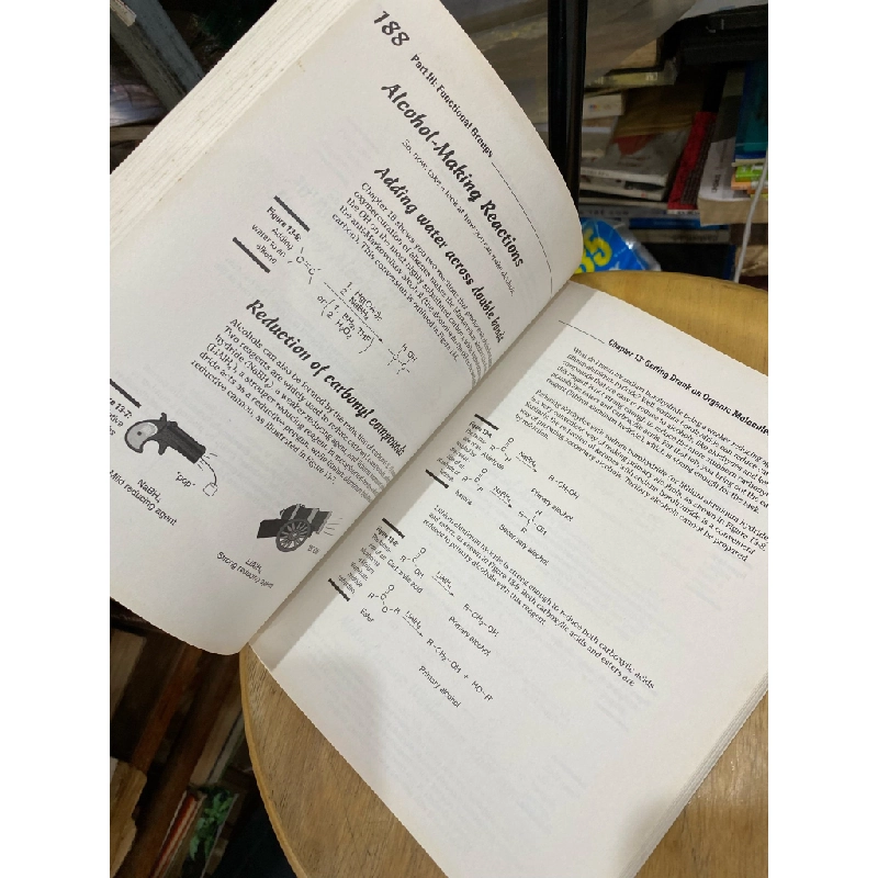 Organic Chemistry I for Dummies 335021