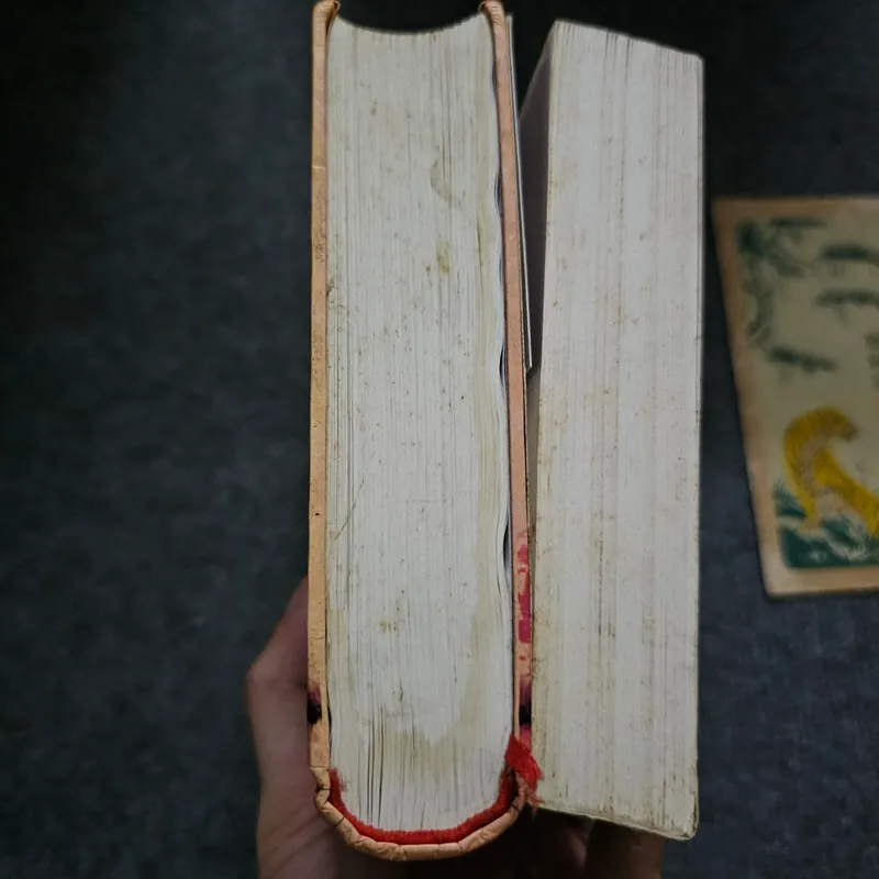 Vòng bảy người 736471