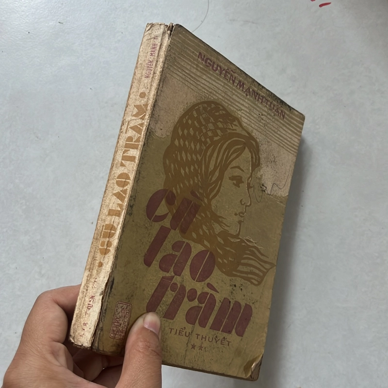 Cù lao tràm - Nguyễn Mạnh Tuấn 498896