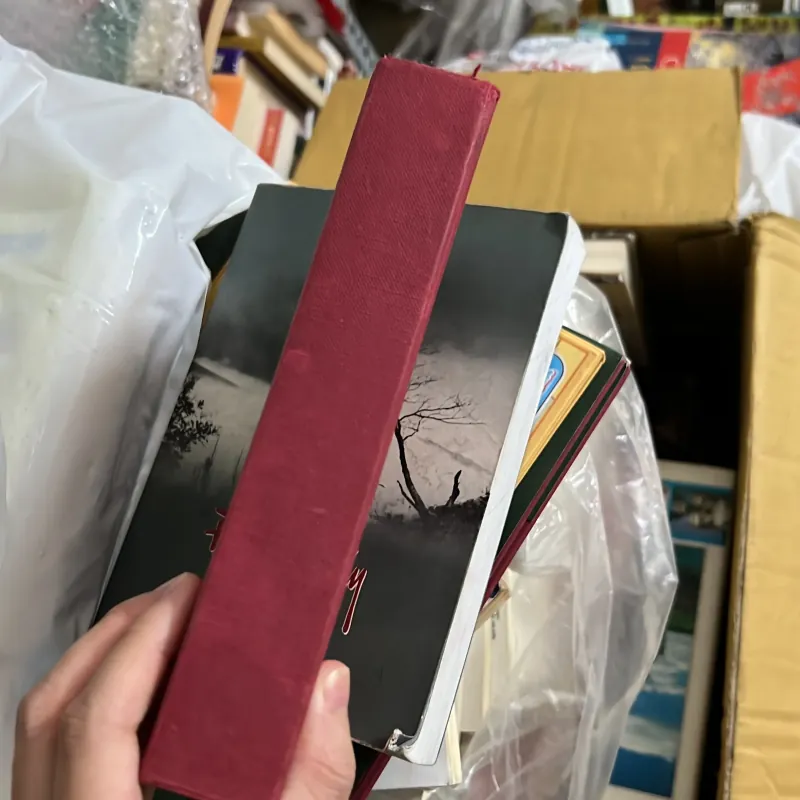 Thiên Long Bát Bộ tập 1 933306