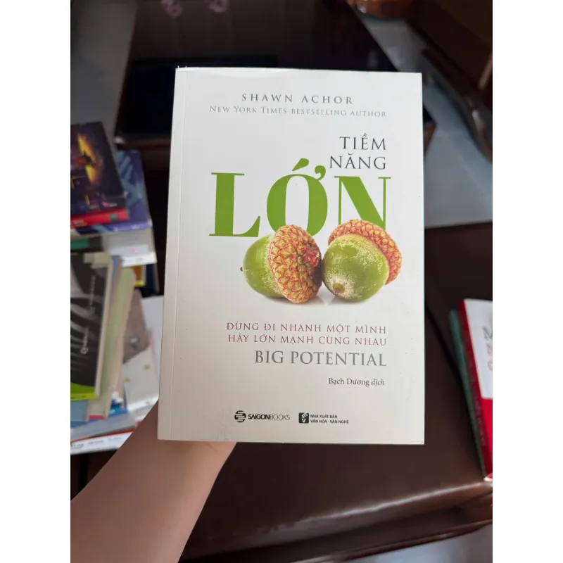 TIỀM NĂNG LỚN – Shawn Achor (Big Potential) - K3 1006577