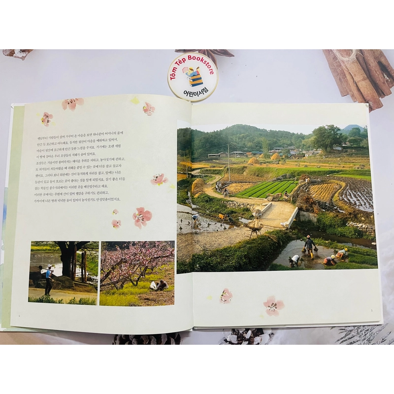 𝐒𝐞𝐭 𝐬𝐚́𝐜𝐡 𝐭𝐢̀𝐦 𝐡𝐢𝐞̂̉𝐮 𝐯𝐚̆𝐧 𝐡𝐨́𝐚 𝐇𝐚̀𝐧 𝐐𝐮𝐨̂́𝐜 호박돌 우리문화 496929