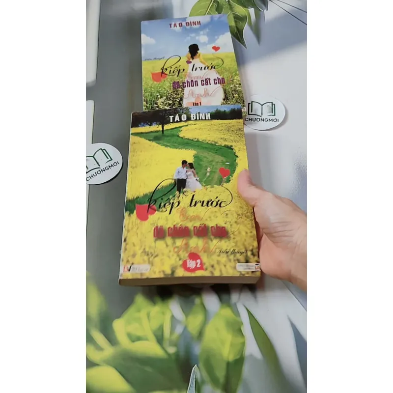 Bộ Kiếp Trước Em Đã Chôn Cất Cho Anh - Tào Đình 744693