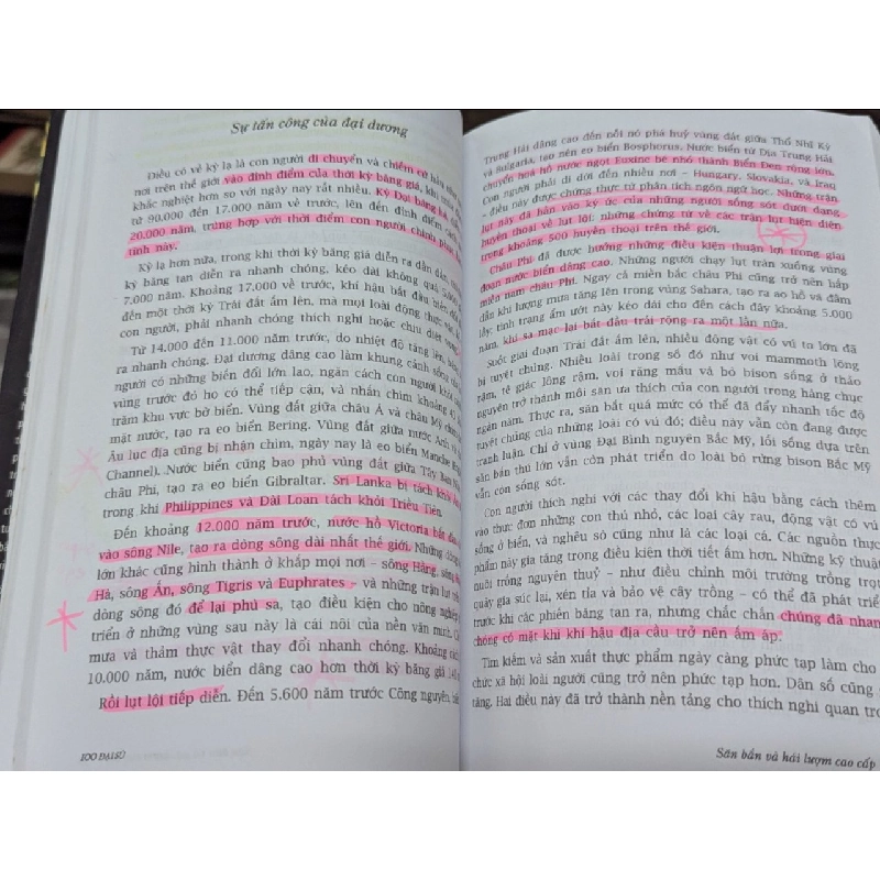 Đại sử: từ vụ nổ lớn đến hiện tại - Cynthia Stokes Brown (Phan Triều Anh dịch) 473847