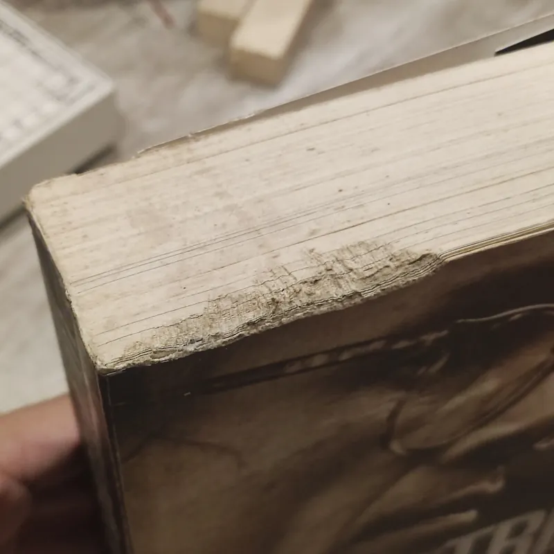 Trịnh Công Sơn - Tôi là ai là ai.... 787892