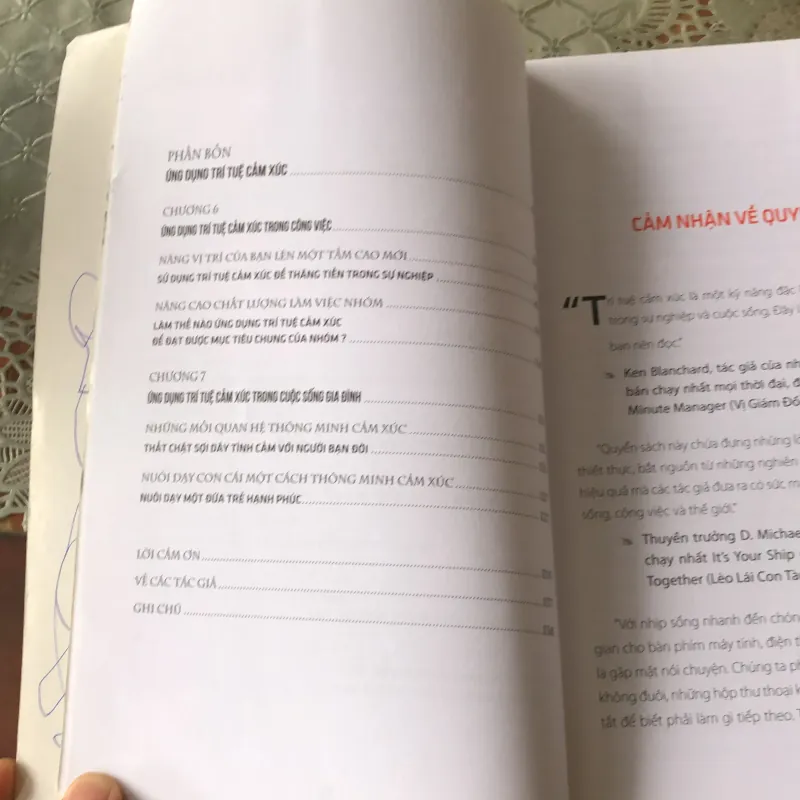 Thông minh cảm xúc để hạnh phúc và thành công  755143