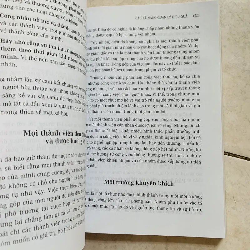 Các kỹ năng quản lý hiệu quả 800542