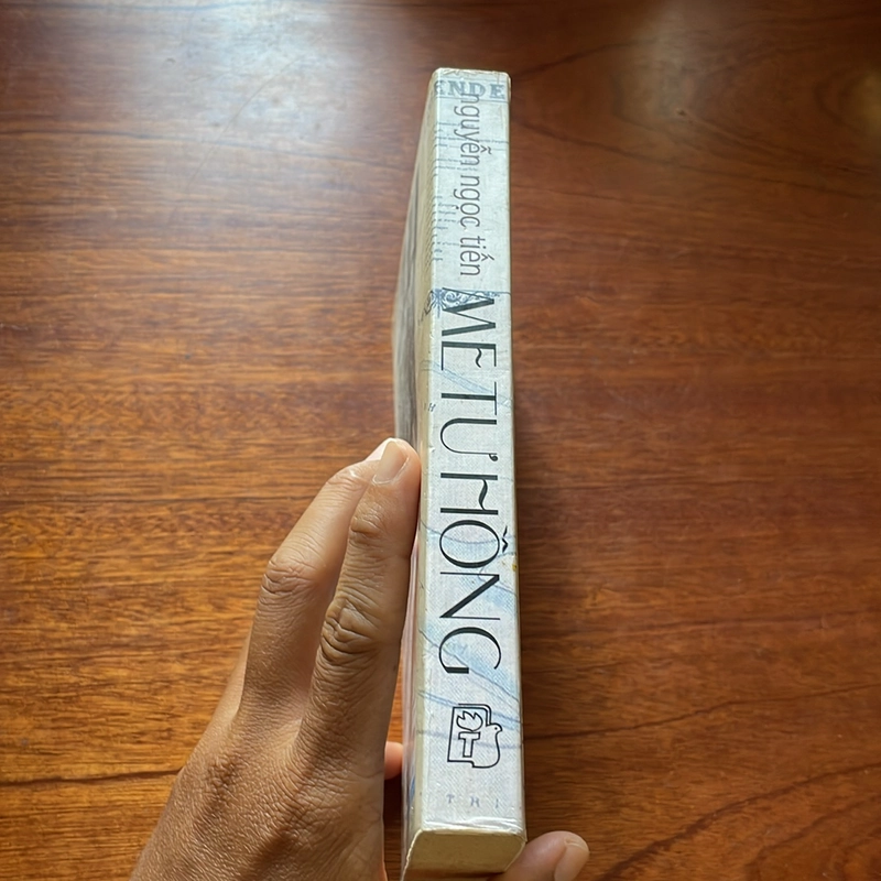 II Tiểu Thuyết: Me Tư Hồng - Nguyễn Ngọc Tiến - 2014 499100