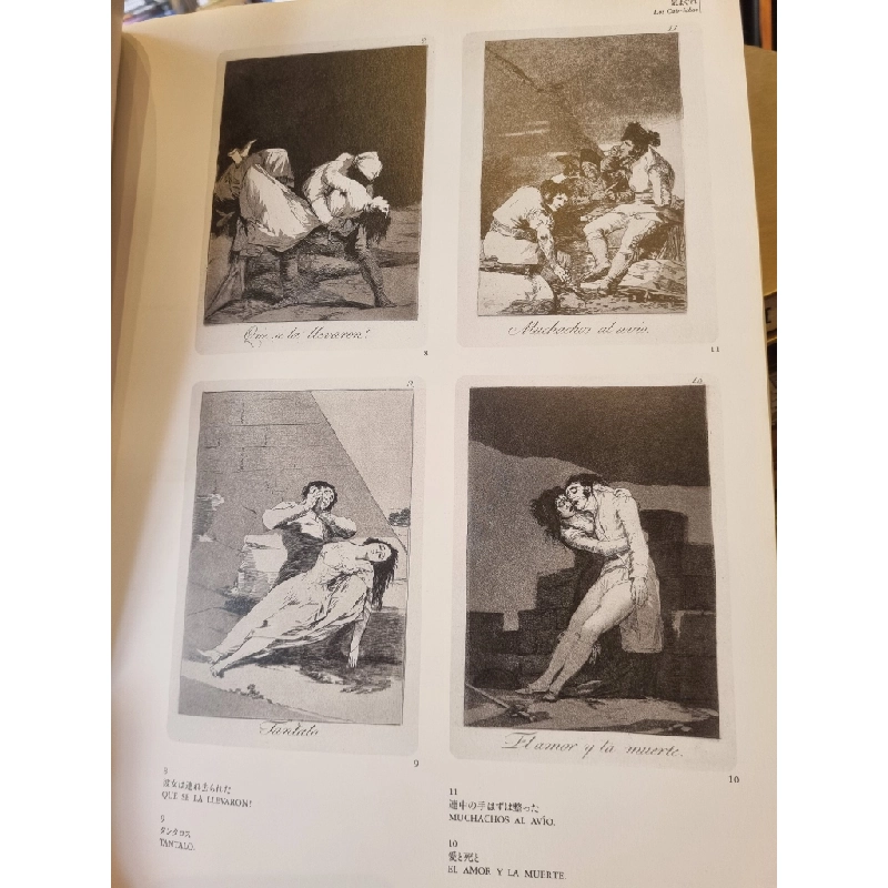 Sách tiếng Nhật 186 : Francisco De Goya Y Lucientes 363519