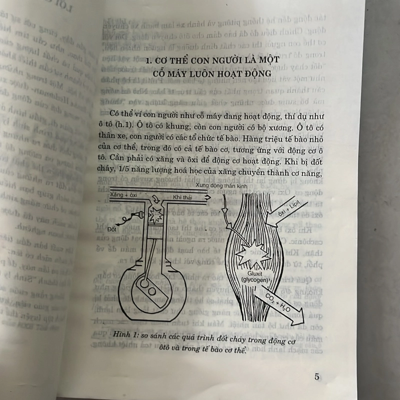 Sinh lý thể thao cho mọi người 527535
