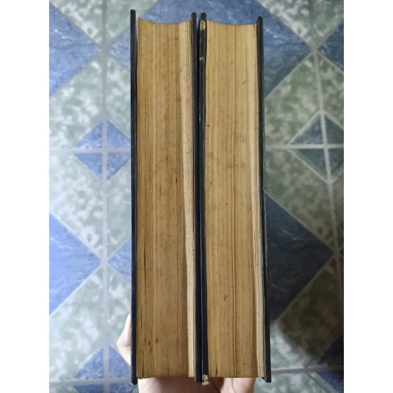 Tùy Đường diễn nghĩa ( 2 tập) - Chữ Nhân Hoạch 756061