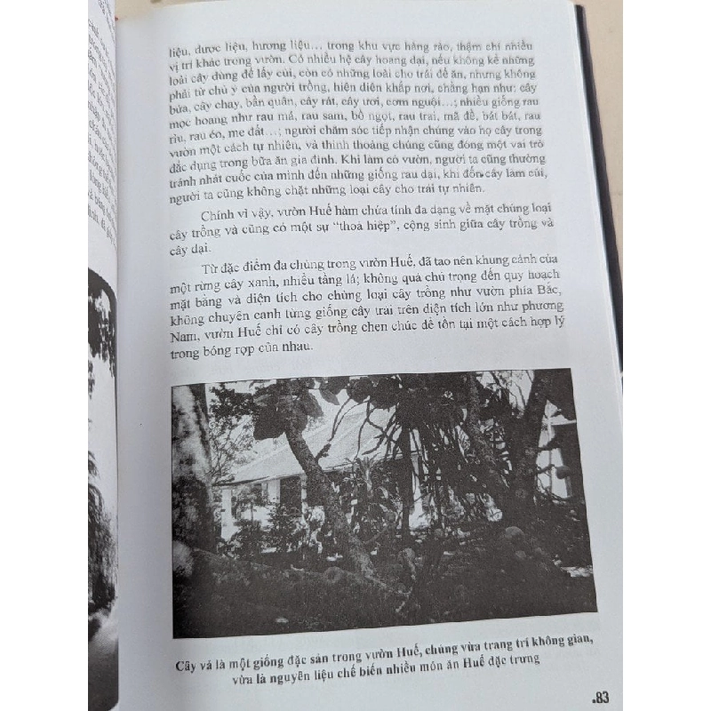 Nhà vườn xứ huế - Nguyễn Hữu Thông 785949