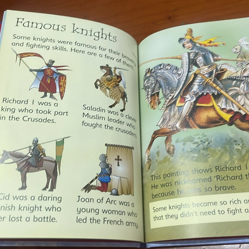 PICTURE BOOK Knights 534165