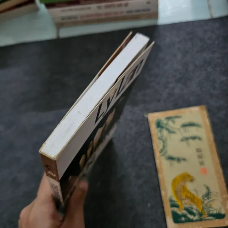 Tiểu thuyết đàn bà - lý lan 751601